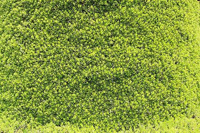 P社总结《天际线2》失败：玩家要求更高