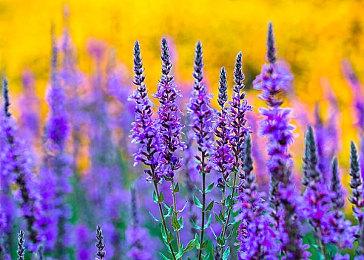 D加密公司开通Discord群组 涌入数百名网友进行人身攻击