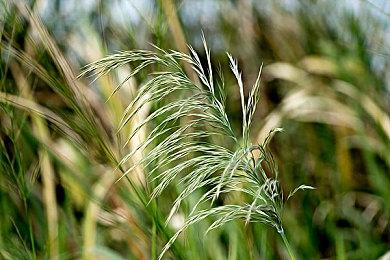 《原子之心》DLC“地狱边境”新截图 新挑战将来临